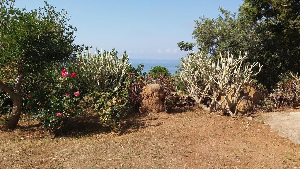 Villa La Rosa Pecorini Kültér fotó